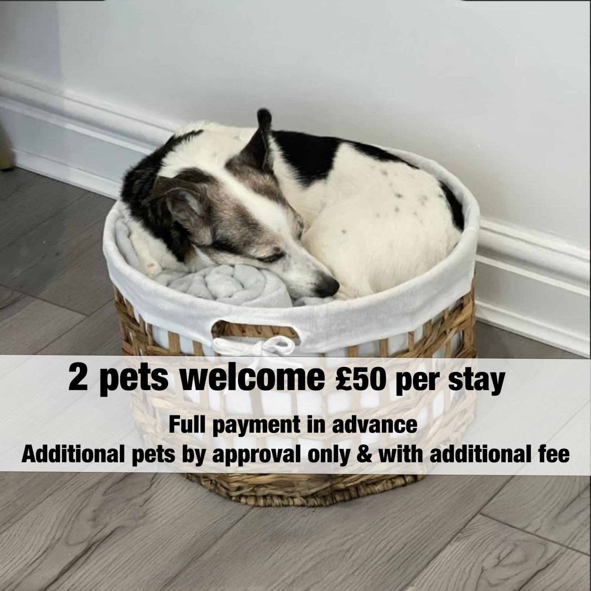 Amber Delightful Suite Moseley Mews, Birmingham By Staystaycations Exterior foto